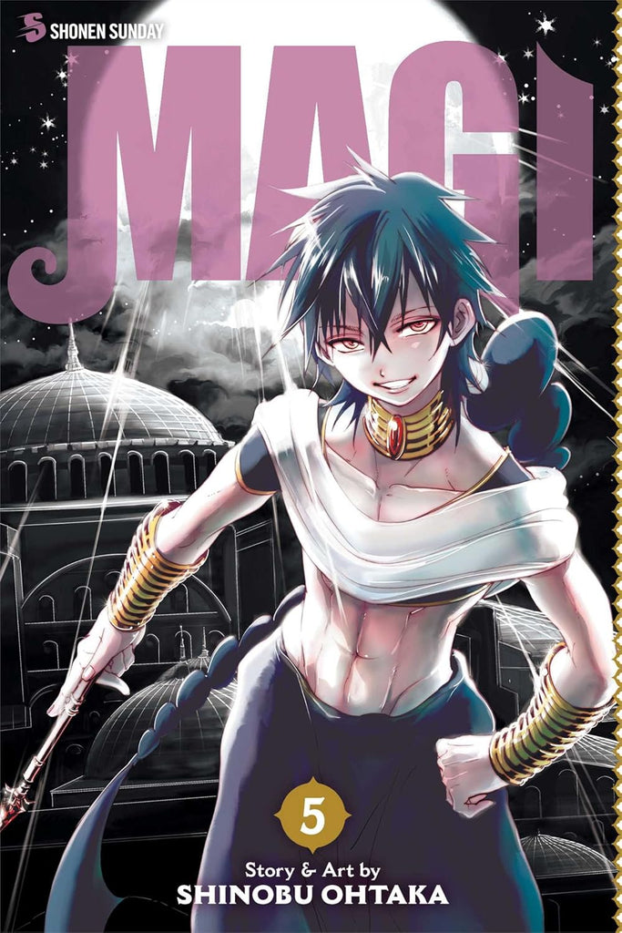 Magi The Labyrinth of Magic, Vol. 5