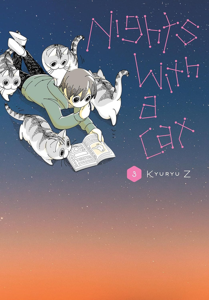 Nights with a Cat : Volume 3