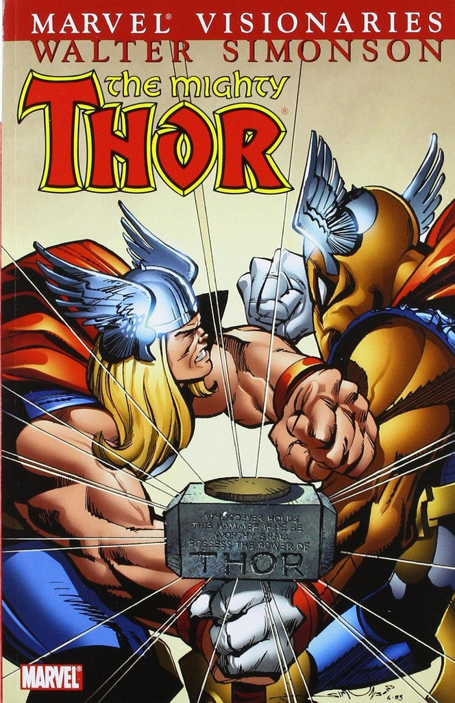 Thor Visionaries - Vol 1