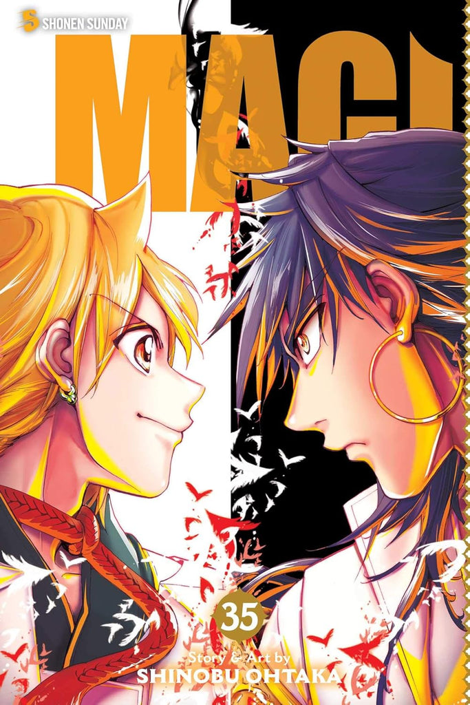 Magi The Labyrinth of Magic, Vol. 35