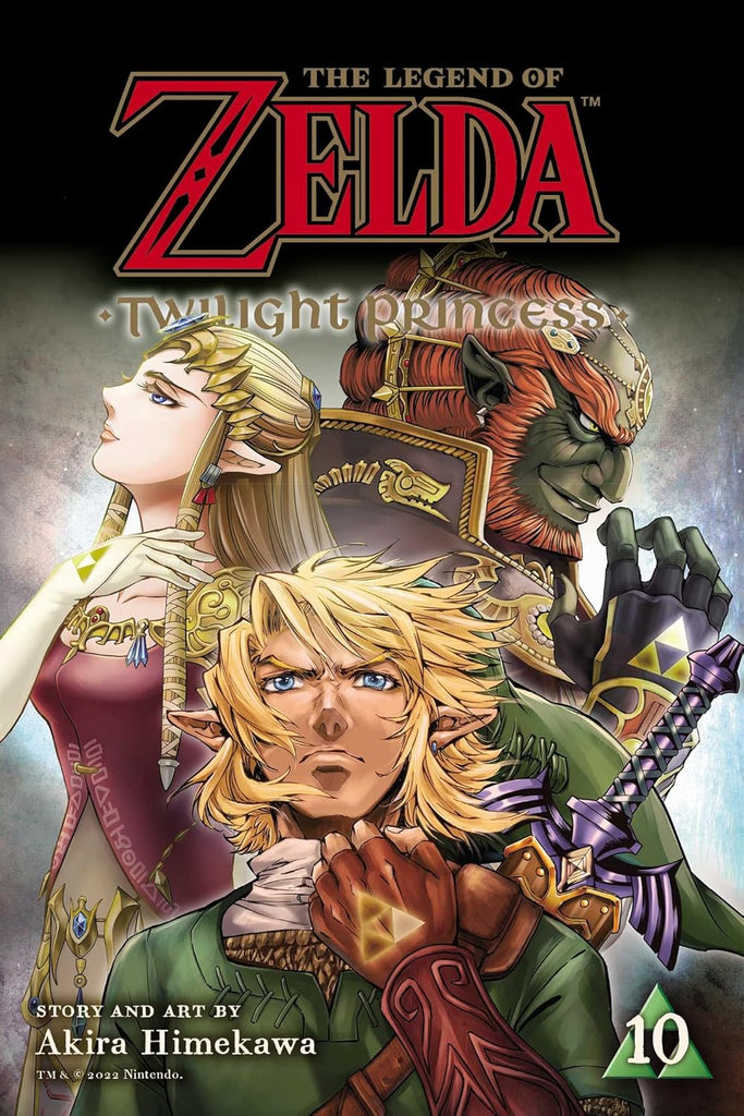 Legend of Zelda: Twilight Princess, Vol. 10