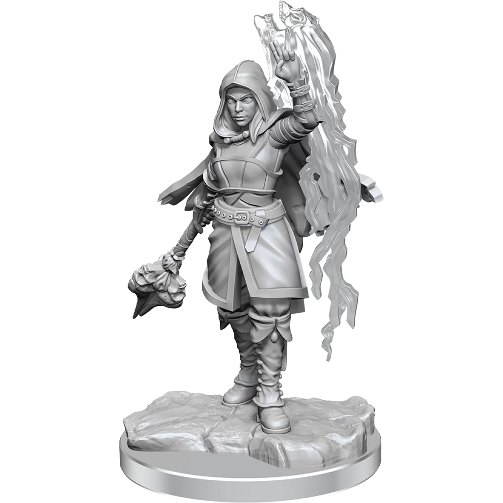 D&D Nolzurs Marvelous Miniatures Half-Elf Warlock