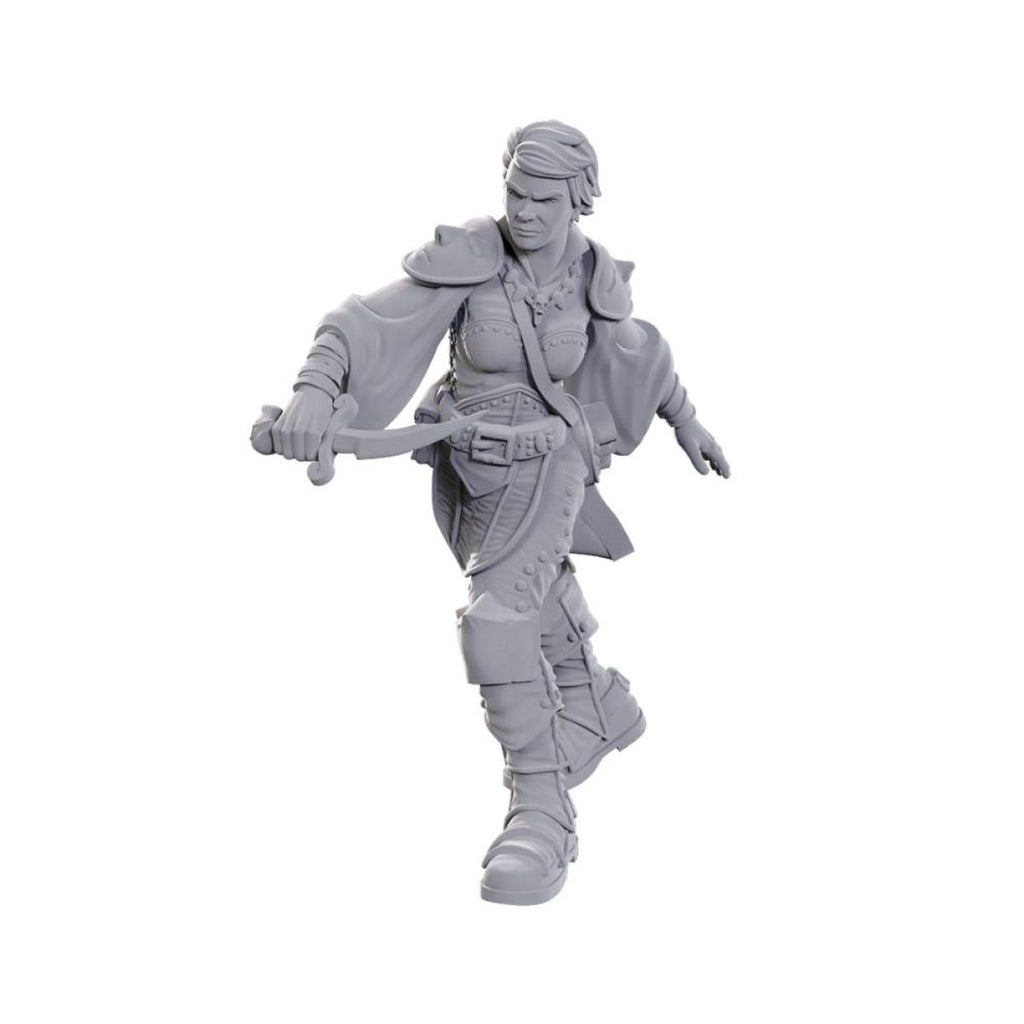 D&D Nolzurs Marvelous Unpainted Miniatures: Swashbuckler