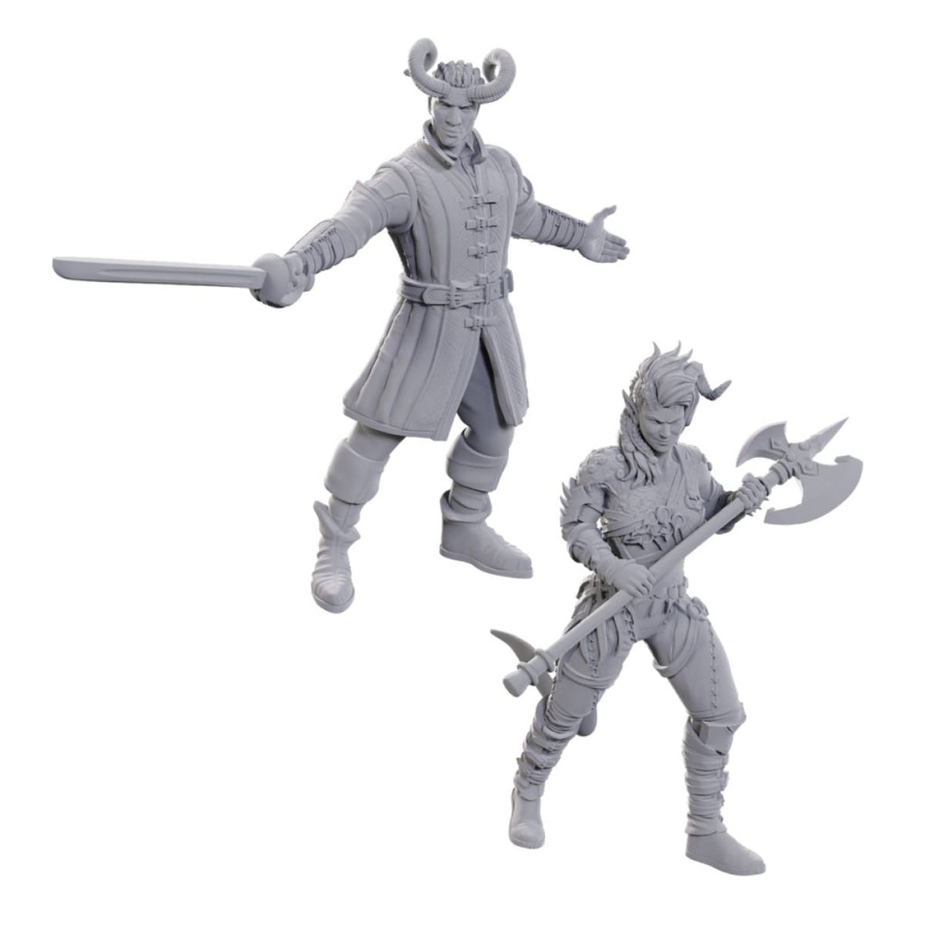 D&D - Nolzurs Marvelous Unpainted Miniatures - Special Edition – Baldur's Gate 3: Wyll & Karlach