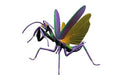 Sticky Image
