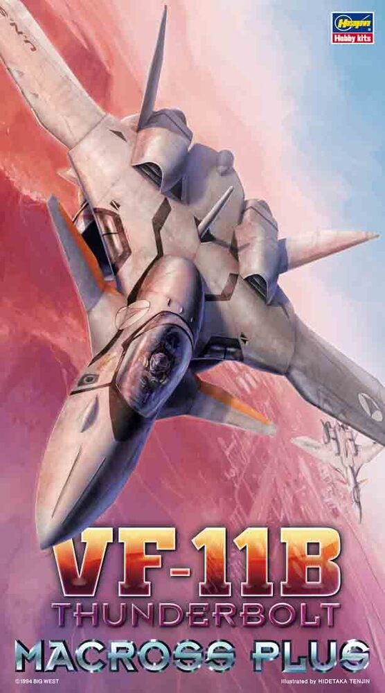 Hasegawa 1/72 VF11B Thunderbolt Macross Plus