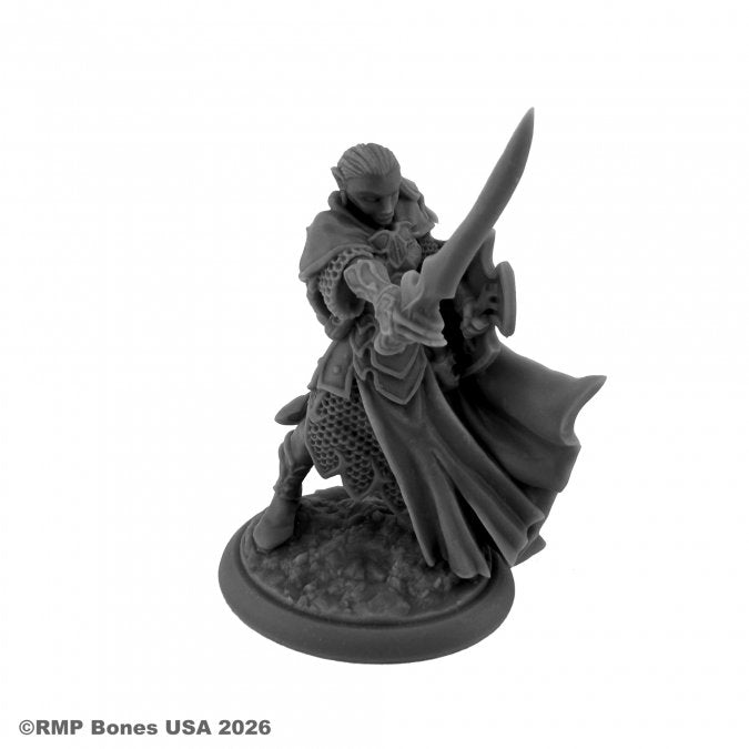 Reaper - 07229 - Dungeon Dwellers: Loryn Stormblade