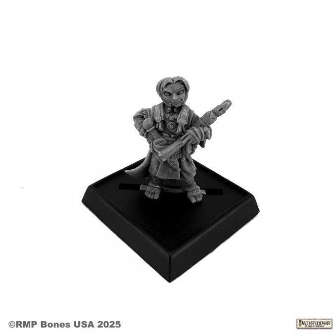 Reaper - 89109 - Pathfinder Bones USA: Lem, Iconic Halfling Bard (2e)