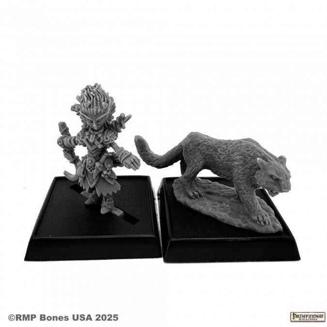Reaper - 89110 - Pathfinder Bones USA: Lini and Droogami, Iconic Gnome Druid (2e)