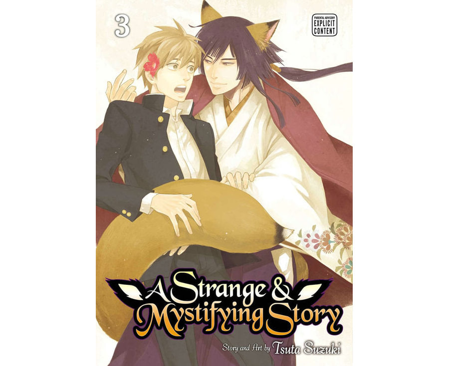 Strange & Mystifying Story, Vol. 3