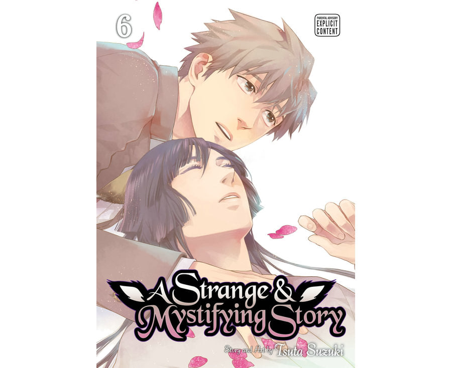 Strange & Mystifying Story, Vol. 6