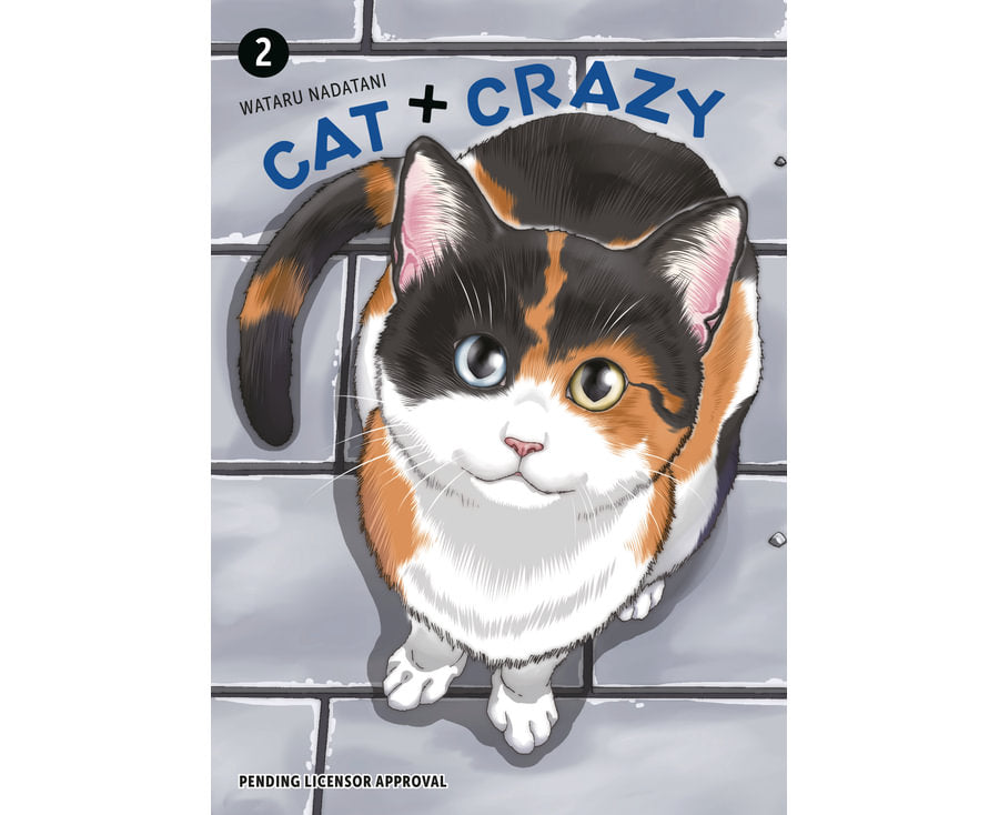 Cat + Crazy Volume 2