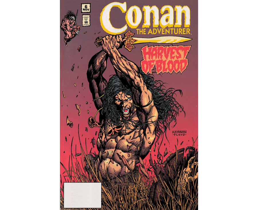 Conan the Adventurer The Original Comics Years Omnibus Vol. 1