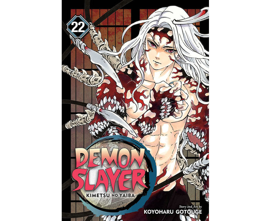 Demon Slayer: Kimetsu no Yaiba, Vol. 22