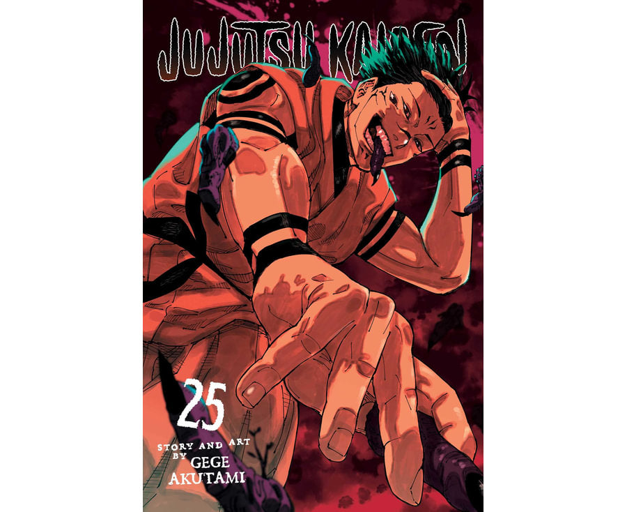 Jujutsu Kaisen, Vol. 25