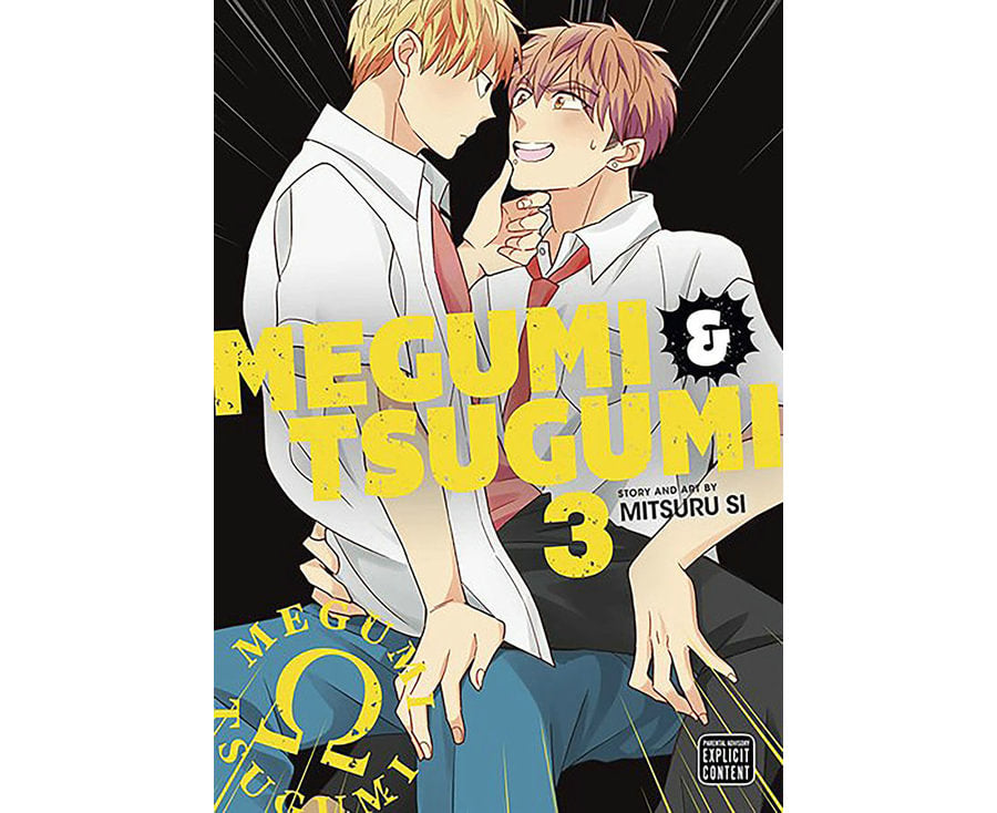 Megumi & Tsugumi, Vol. 3