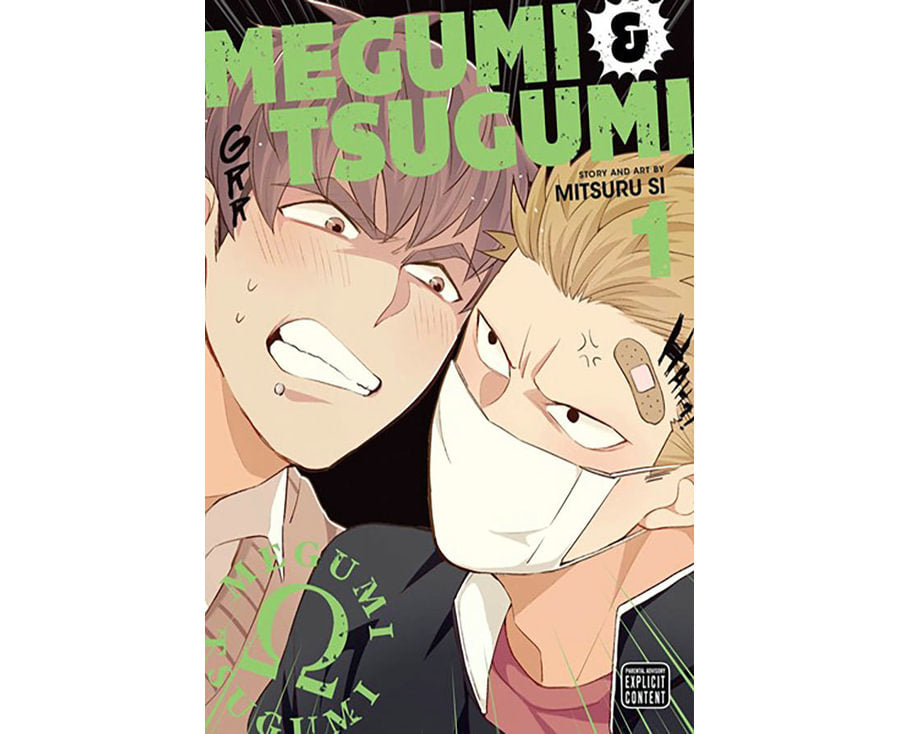 Megumi & Tsugumi, Vol. 1
