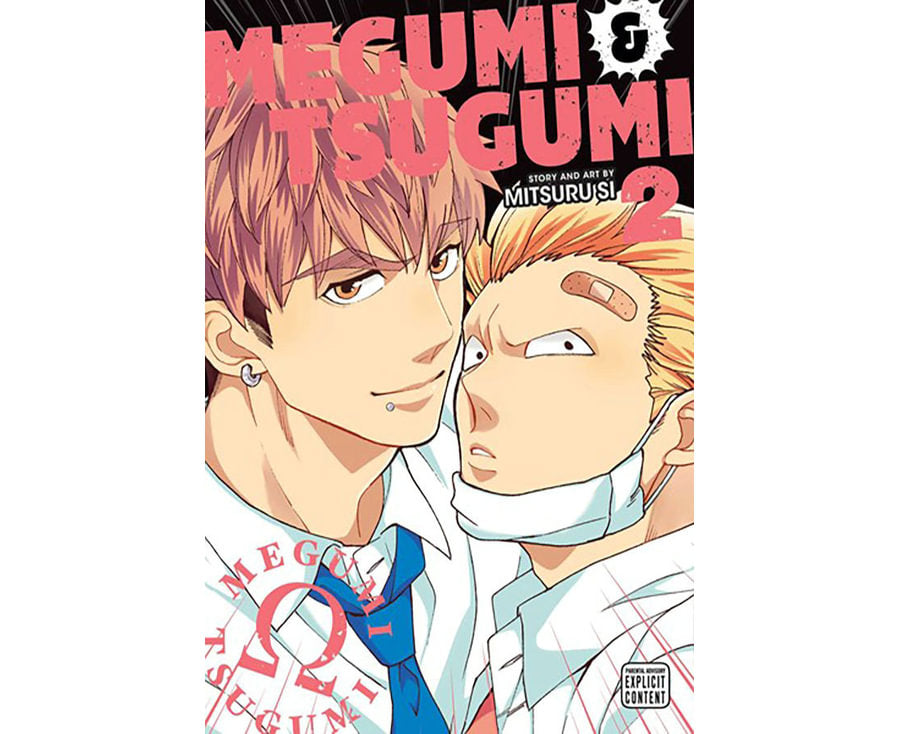 Megumi & Tsugumi, Vol. 2
