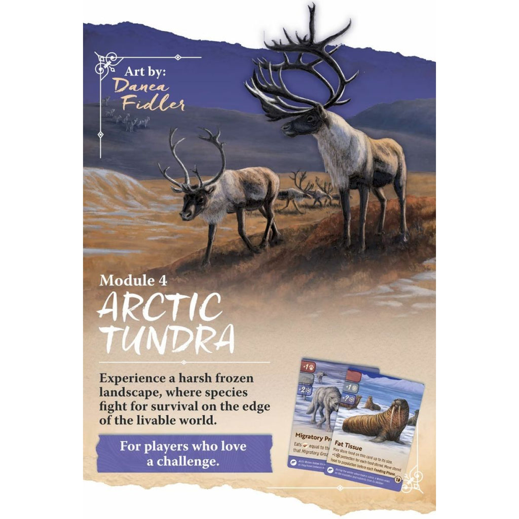 Nature - Module 4 - Arctic Tundra