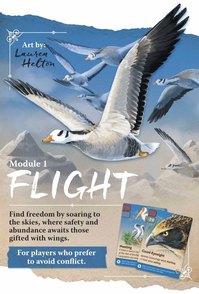 Nature - Module 1 - Flight