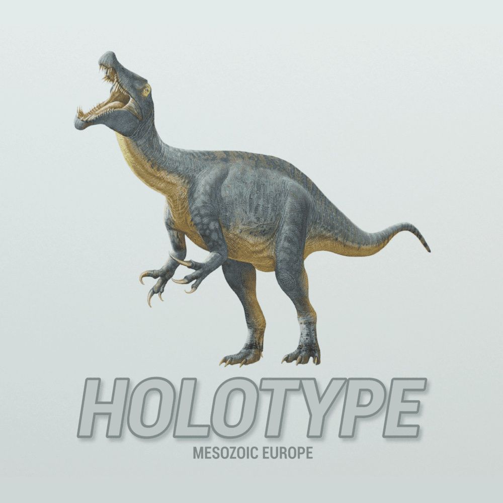 Holotype - Mesozoic Europe