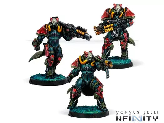 Infinity: Combined Army - Rodoks, Armed Imposition Detachment