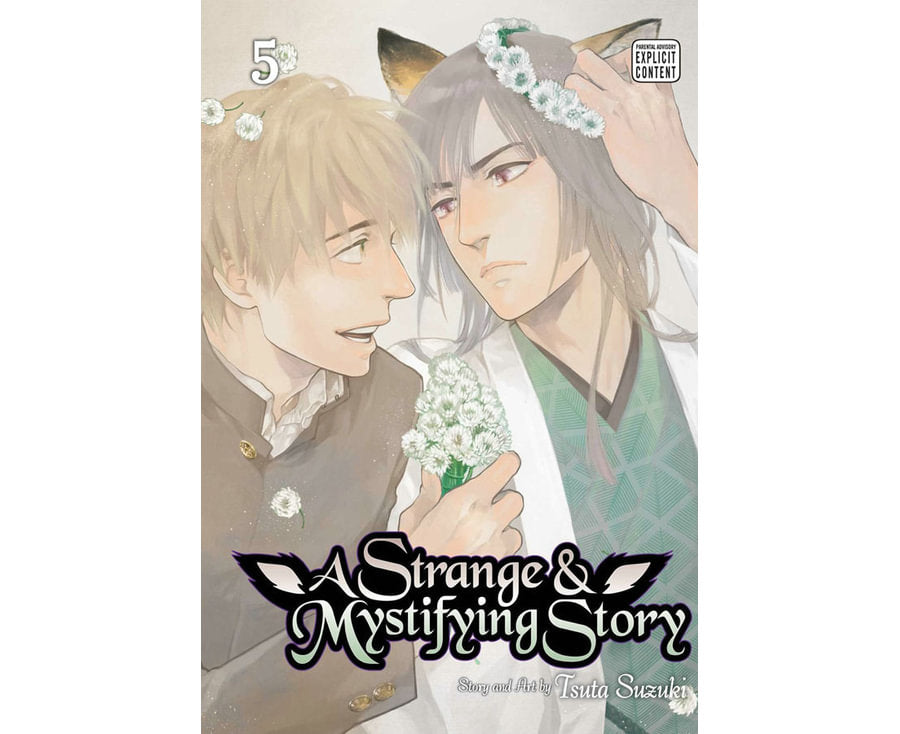 Strange & Mystifying Story, Vol. 5