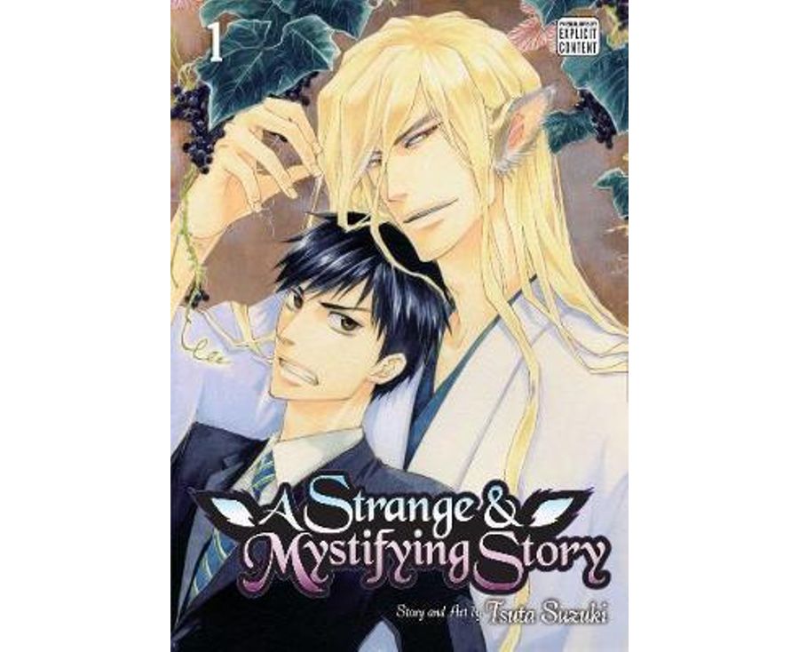 Strange & Mystifying Story, Vol. 1