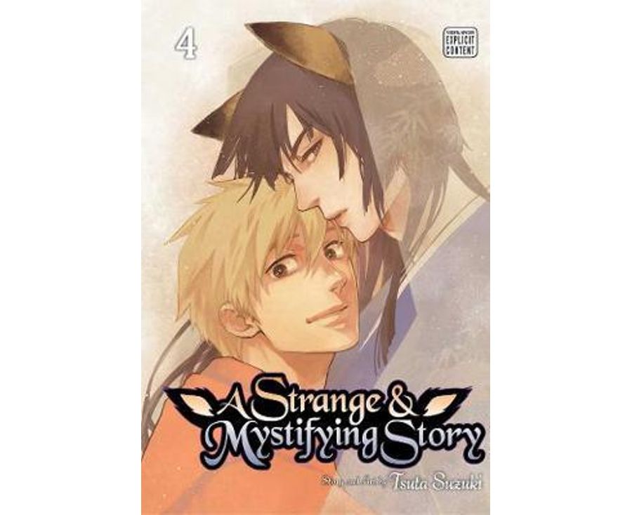 Strange & Mystifying Story, Vol. 4
