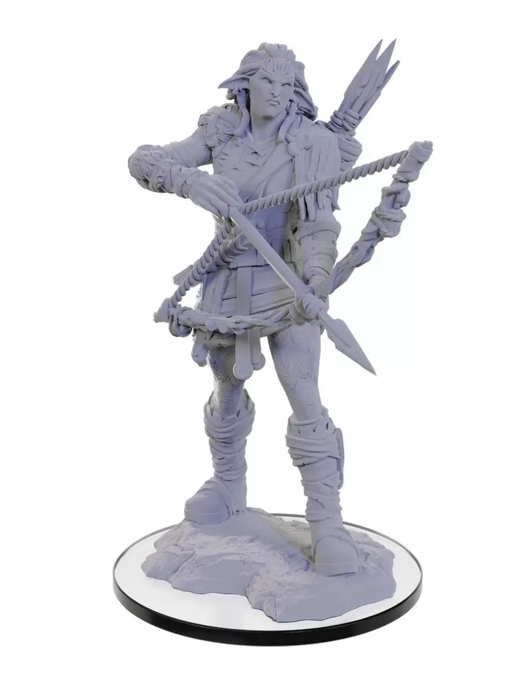 Wizkids Deep Cuts Unpainted Miniatures - Pathfinder Wood Giant