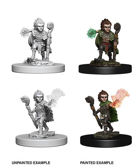 Pathfinder Deep Cuts Unpainted Miniatures Gnome Male Druid