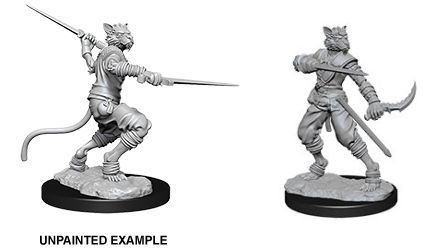 D&D Nolzurs Marvelous Unpainted Miniatures Male Tabaxi Rogue