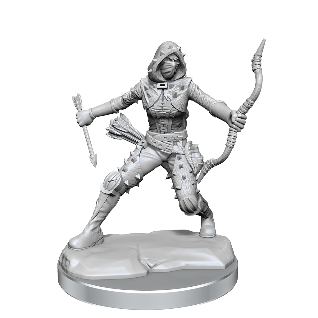 D&D Frameworks Human Rogue Female - 75038