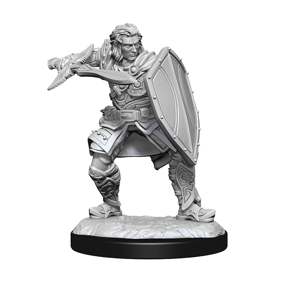 D&D Nolzurs Marvelous Unpainted Miniatures Male Human Paladin