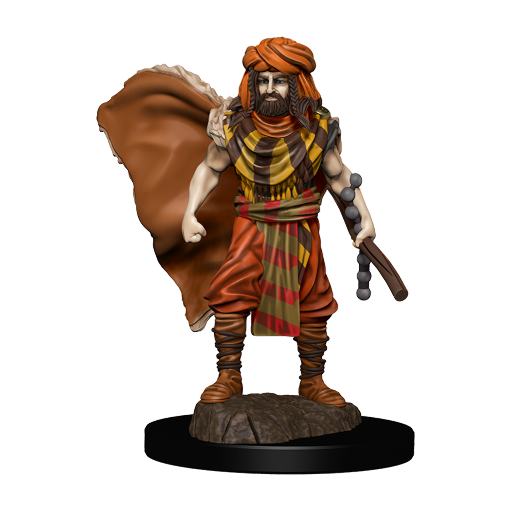 D&D Premium Painted Figures Human Druid Male