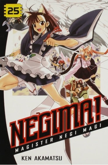 Negima! 25:Magister Negi Magi