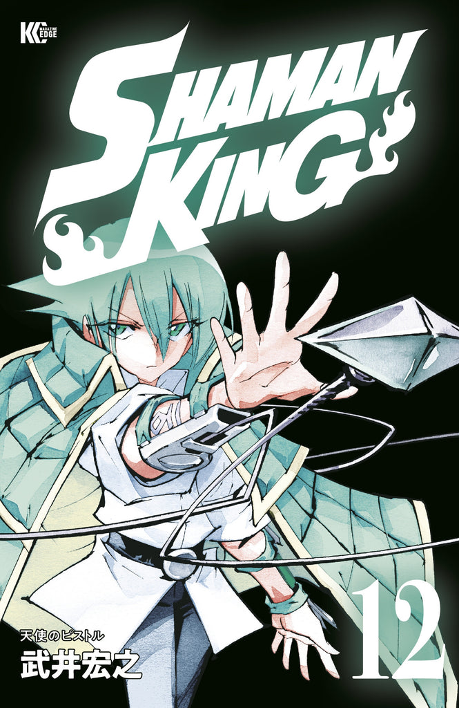 Shaman King Omnibus 7 (Vol. 19-21)