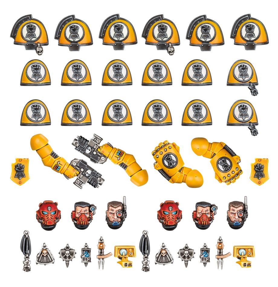 Imperial Fists: Primaris Upgrades & Transfers