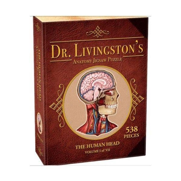 Dr Livingston Anatomy Jigsaw Puzzle The Human Head 538 Pieces