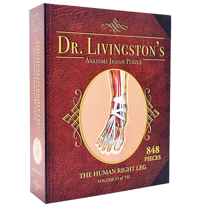 Dr Livingston Anatomy Jigsaw Puzzle The Human Right Leg 848 Pieces