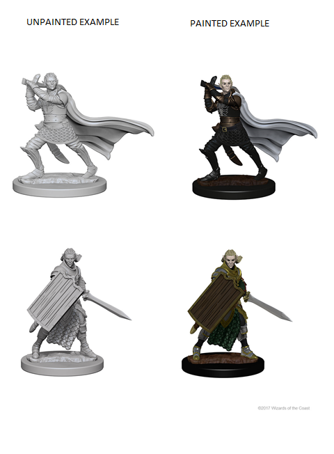 Pathfinder Deep Cuts Unpainted Miniatures Elf Male Paladin