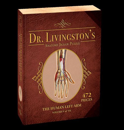 Dr Livingston Anatomy Jigsaw Puzzle The Human Left Arm 472 Pieces