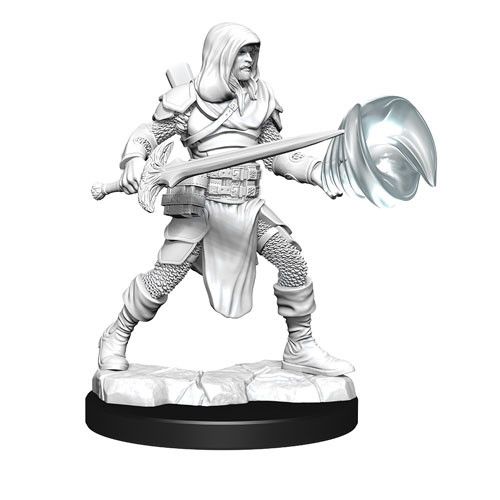 D&D Nolzurs Marvelous Unpainted Miniatures Male Multiclass Fighter + Wizard