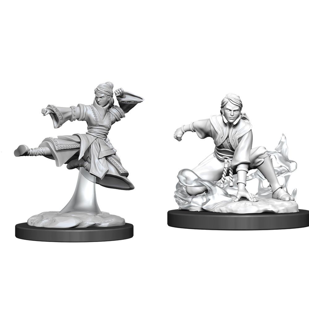 D&D Nolzurs Marvelous Unpainted Miniatures Female Human Monk